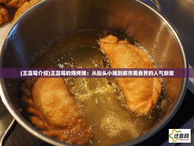 (王蓝莓介绍)王蓝莓的烧烤摊：从街头小摊到都市美食界的人气新宠