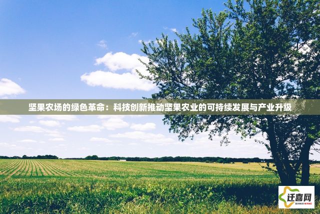 坚果农场的绿色革命：科技创新推动坚果农业的可持续发展与产业升级