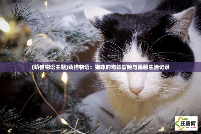 (萌猫物语主题)萌猫物语：猫咪的奇妙冒险与温馨生活记录