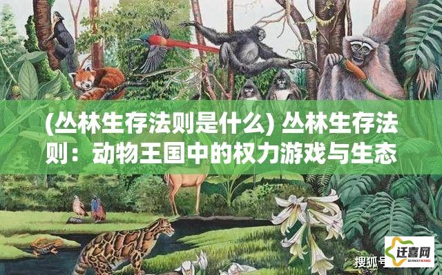 (丛林生存法则是什么) 丛林生存法则：动物王国中的权力游戏与生态平衡