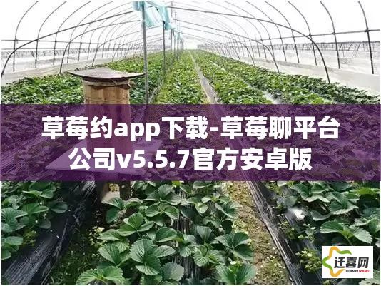 草莓约app下载-草莓聊平台公司v5.5.7官方安卓版