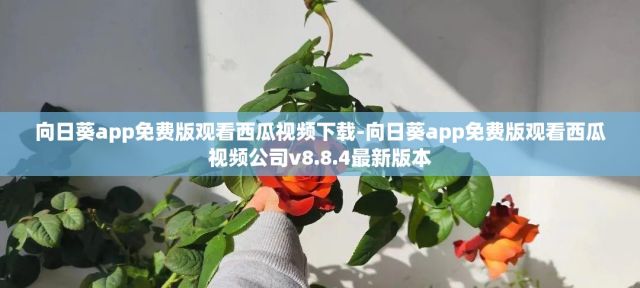 向日葵app免费版观看西瓜视频下载-向日葵app免费版观看西瓜视频公司v8.8.4最新版本