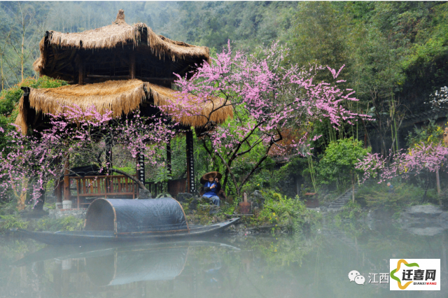 (小镇晨景) 探寻山海秘境|小镇晨雾的秘密：迷雾中的山海交融之美及其乡土文化探索