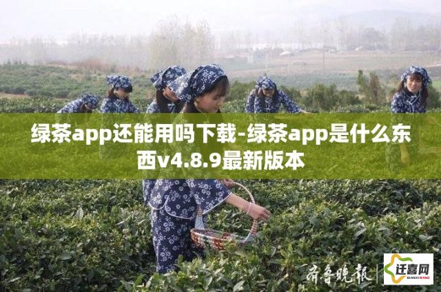 绿茶app还能用吗下载-绿茶app是什么东西v4.8.9最新版本