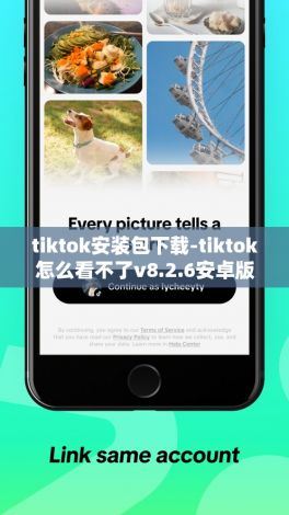 tiktok安装包下载-tiktok怎么看不了v8.2.6安卓版