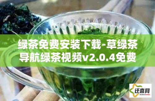 绿茶免费安装下载-草绿茶导航绿茶视频v2.0.4免费手机版