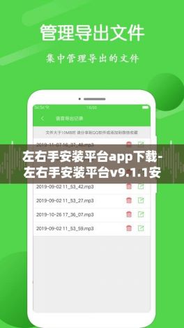 左右手安装平台app下载-左右手安装平台v9.1.1安卓版